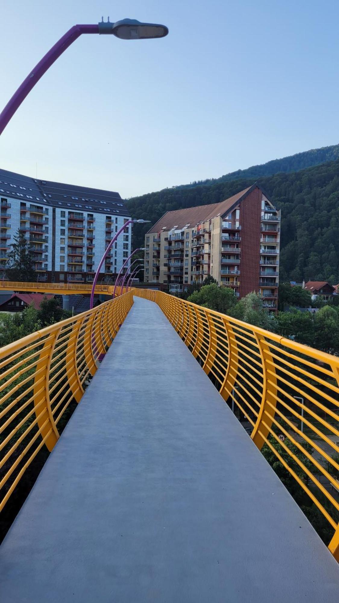 Belleview Family Apartment Sinaia Eksteriør bilde